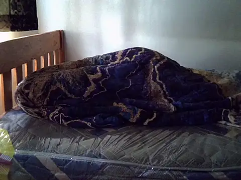 Vivibabe6 live