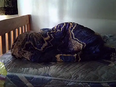 Vivibabe6 live