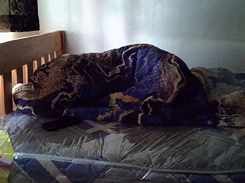 Vivibabe6 live