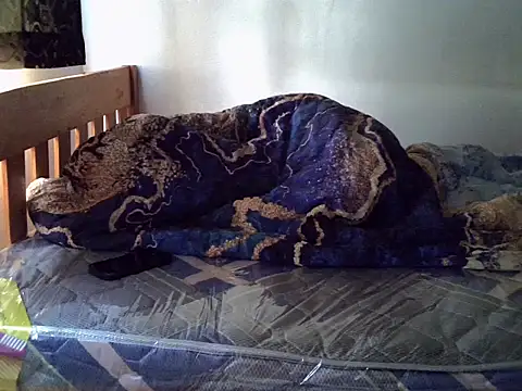 Vivibabe6 live