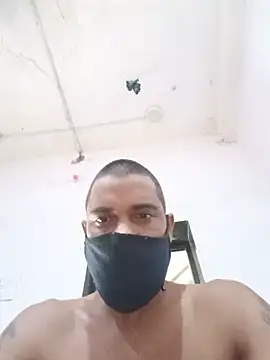 Tigerisback202627 live