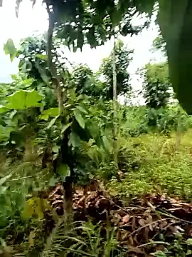 xiaogoal live