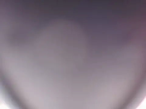 patrickvsnoah live