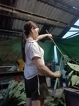 lya_sexyy live