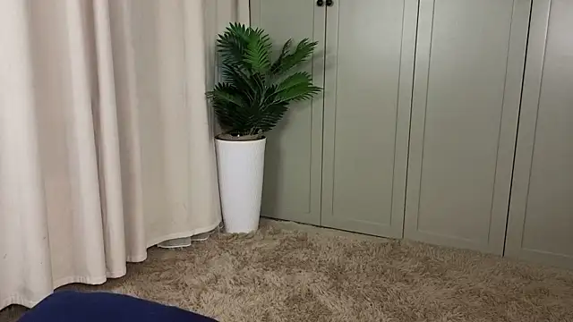 tgirlfoxy live