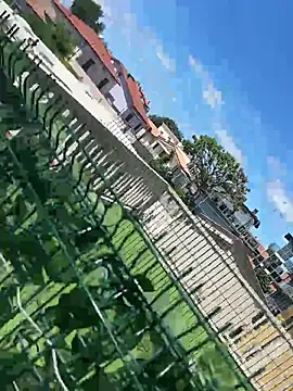 piccolo2002 live