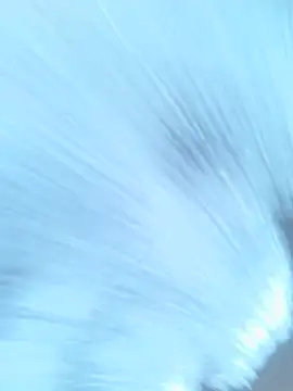 superwetpeach live
