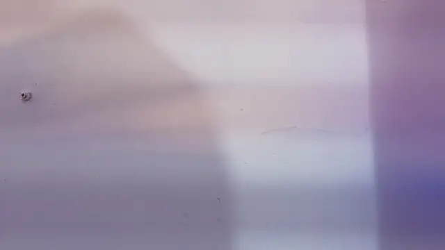 _Maca_rena live