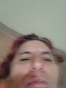 martinhapimenta live