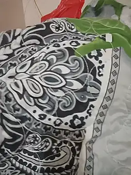 Hazel_Nova live