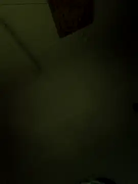 Kitti-Sharma live