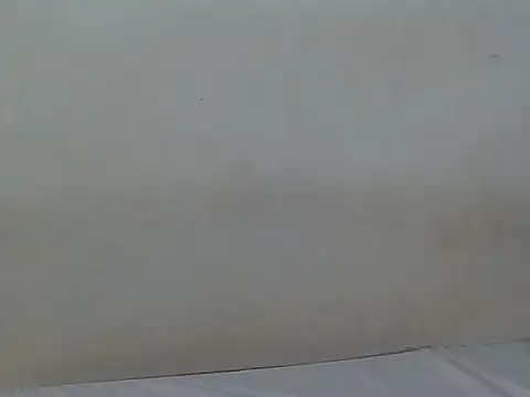 SexyNeedle22 live