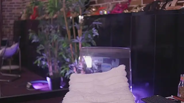 VanessaVosss live