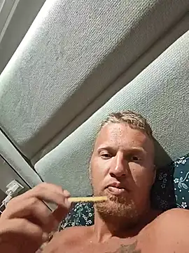 crazy_hamsters live