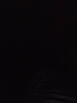 Wetty-kitty live