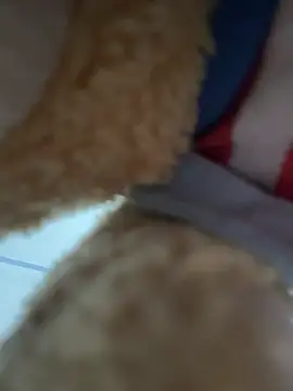 Wendy-babyy live