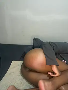 petite_bee live