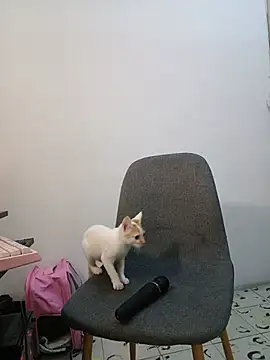 karenarango live