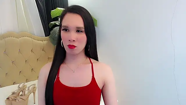 LexiLoreOnTop live
