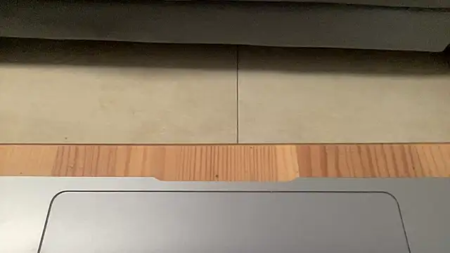4small4inchlol live
