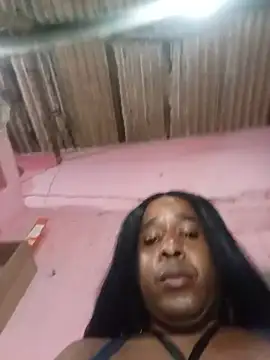 Hellentrans24 live