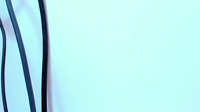 LaylaFerrer live