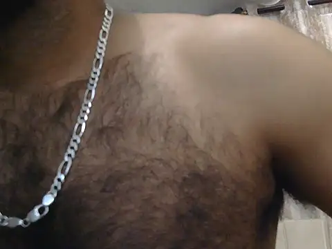 indianhairybull live