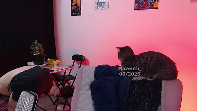 Raventh_ live