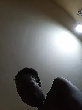 CRIBANN live