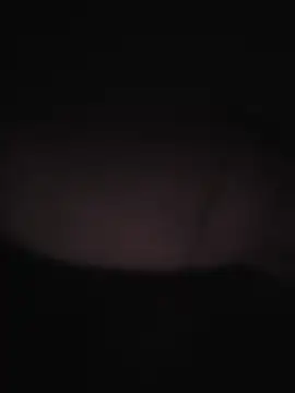 piggylatino live