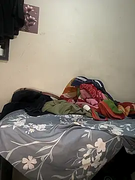 ShadowStreamX live