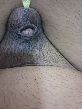 Sissydoggy live