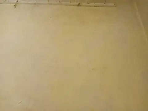 Flirtytessy live