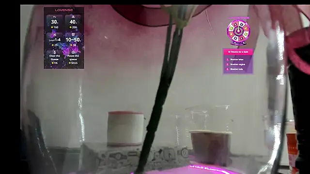 sweetCatallina live