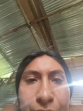 Uvit live