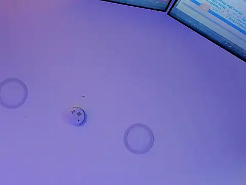 deluca_vega live