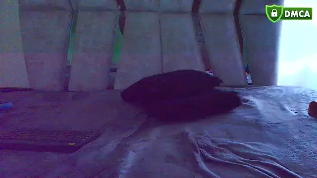Kimi__01 live