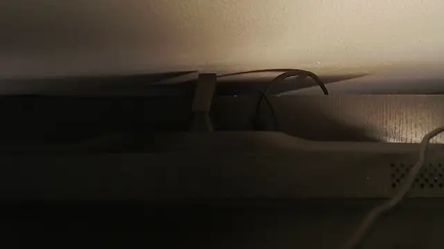 gabriela_tm1 live
