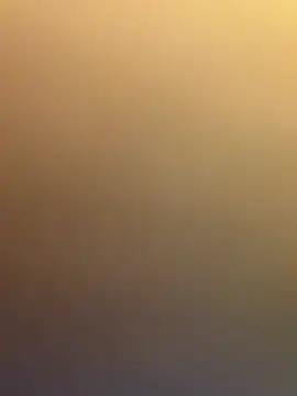 Lau_pr live