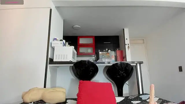 Layla_Sia live