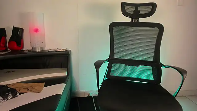 gato_pascal live