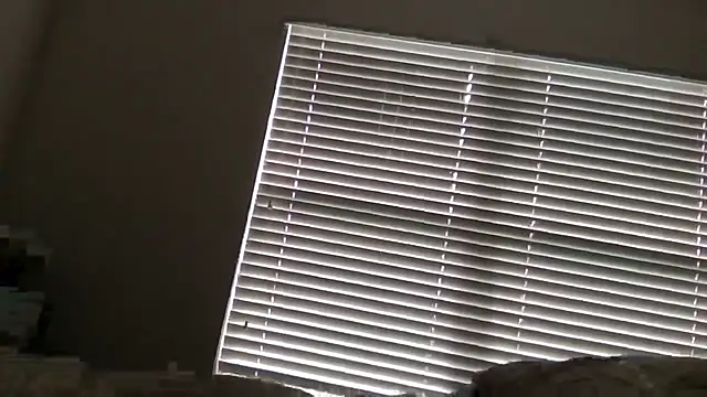Peanut143Jelly live