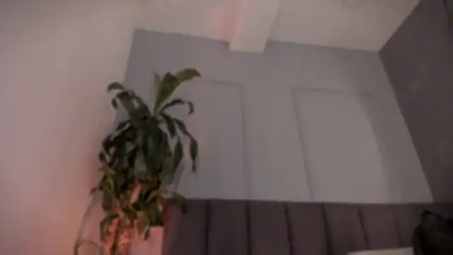 alejandrarojas_ live