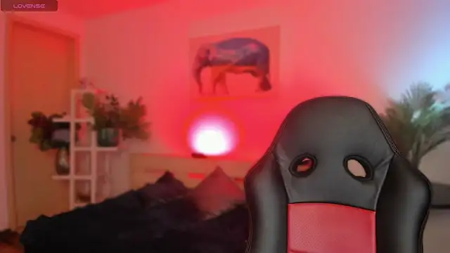miiaa_stone live