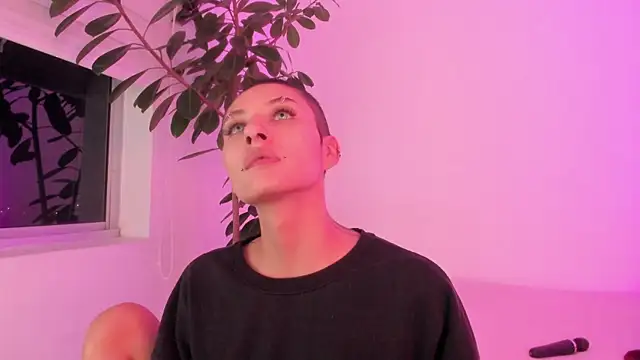 vandalovee_ live