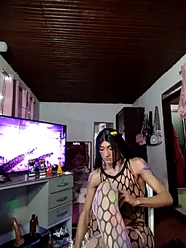 TRANS_COLOMBIA live