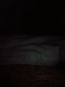 MoJanky live