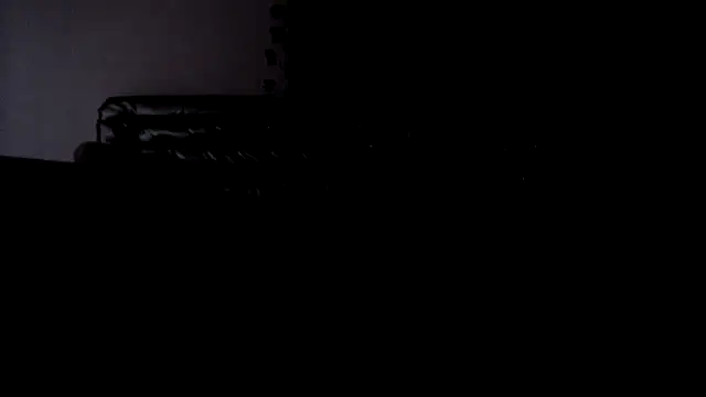 thebeejayshow2 profile
