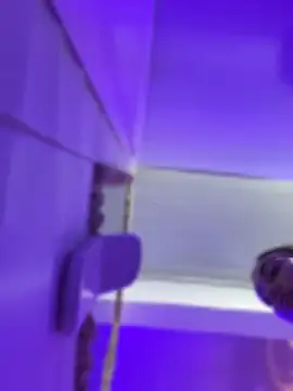 Nina_velvet01 live