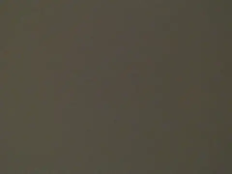 Mad4DickX live